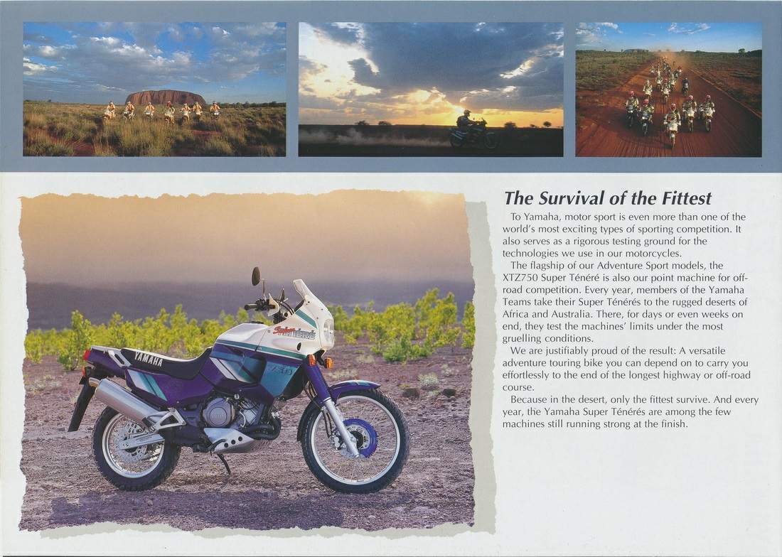yamaha xtz750 super tenere for sale